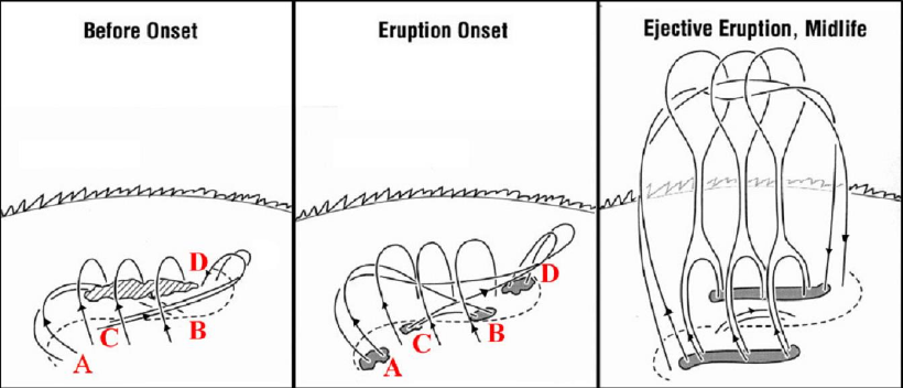 zz_figure/Pasted image 20250619195910.png